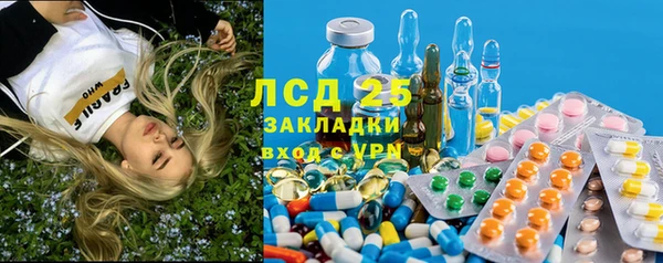 мяу мяу мука Покачи